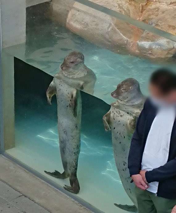 優しい気持ちになれる画像