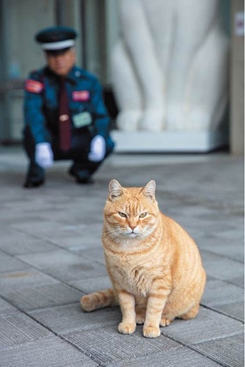 優しい気持ちになれる画像