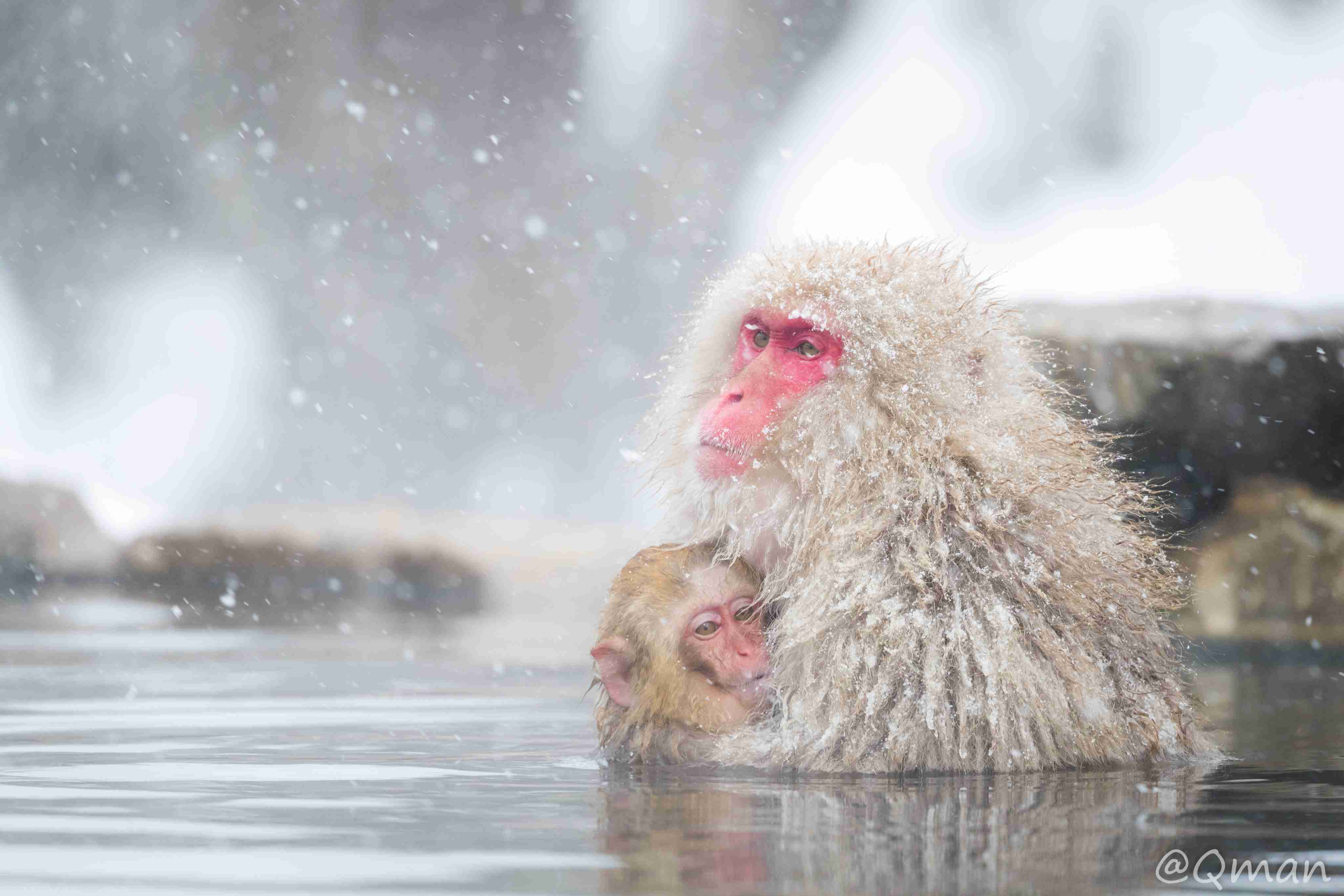 優しい気持ちになれる画像