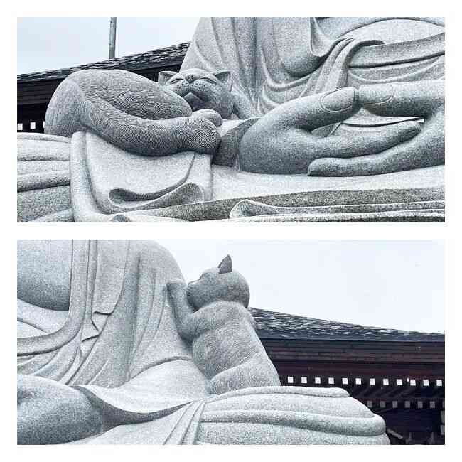 優しい気持ちになれる画像