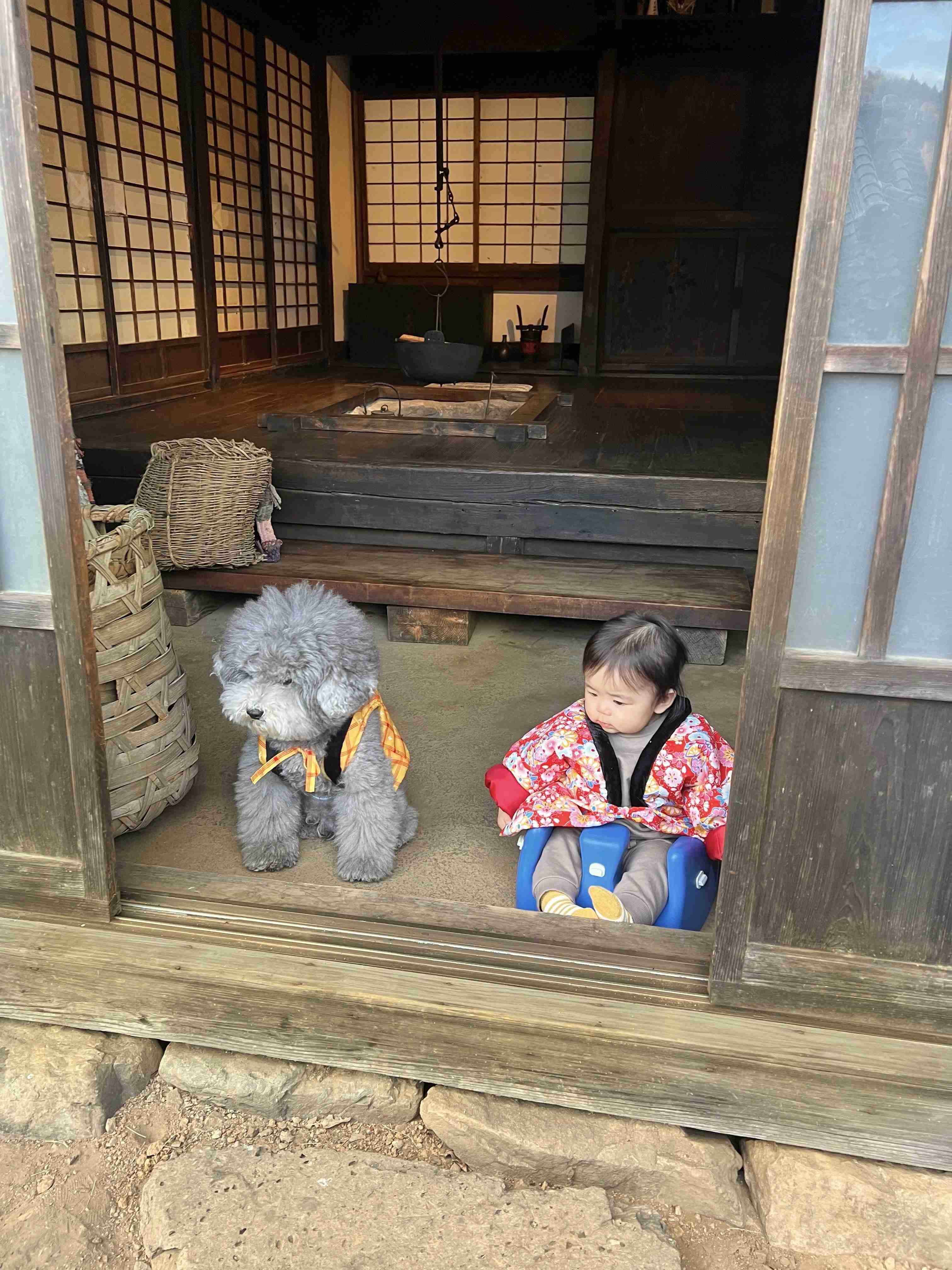 優しい気持ちになれる画像