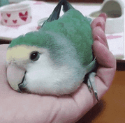 優しい気持ちになれる画像