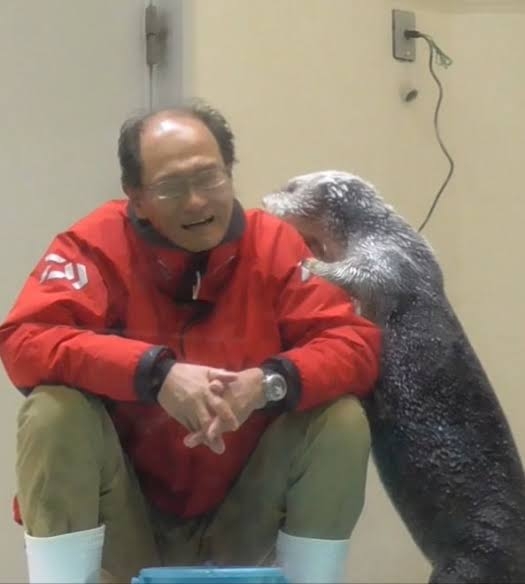優しい気持ちになれる画像
