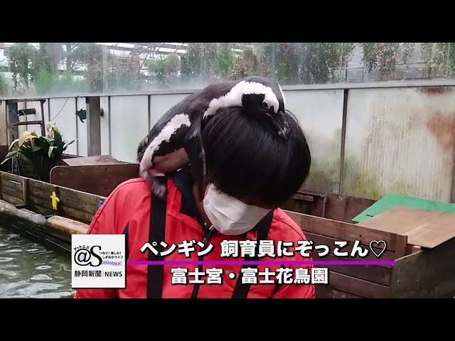 優しい気持ちになれる画像