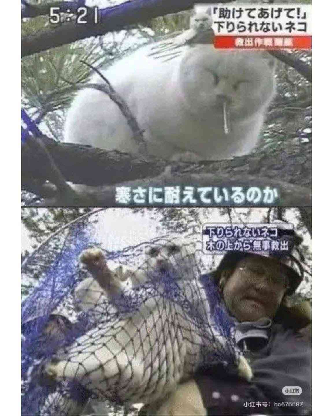 なんでそうなるの？と聞きたくなった画像を貼るトピ