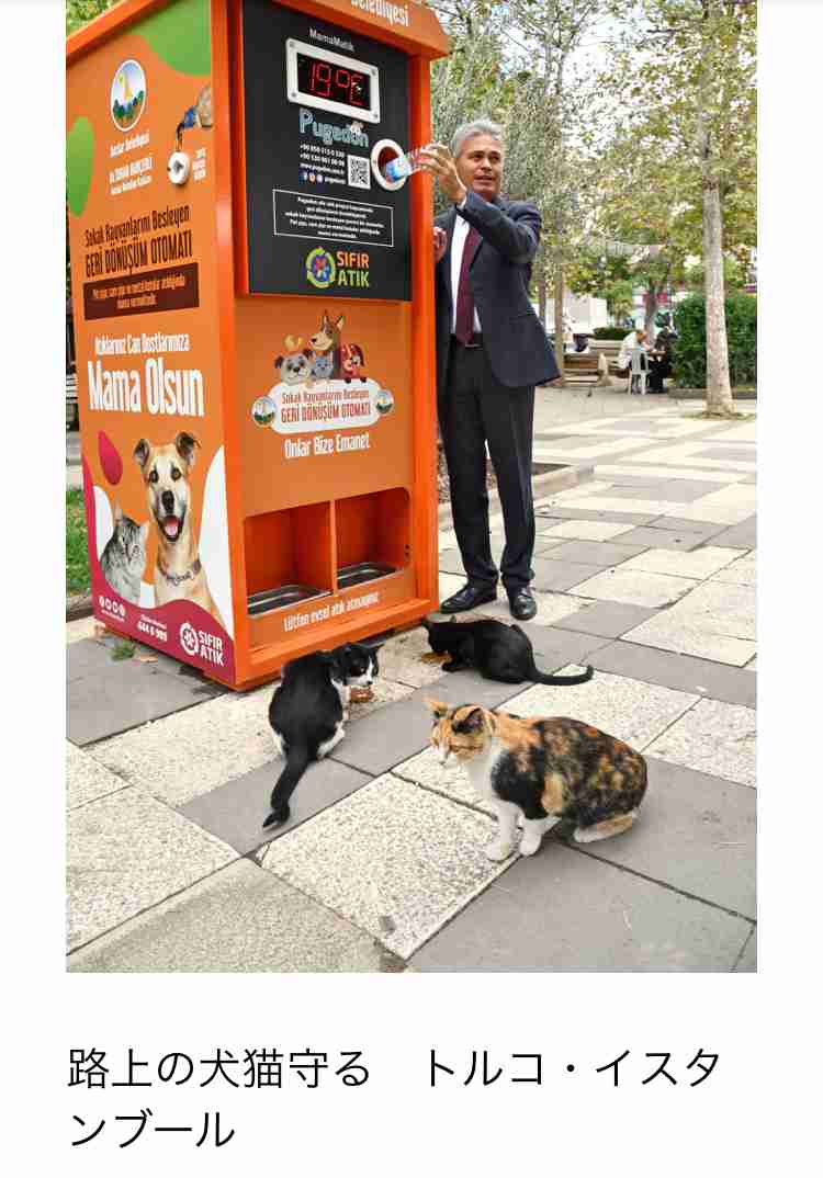 トルコの世界。腹ペコ猫を店に招き入れ餌を与えたところ、毎日ぎゅっとハグするように