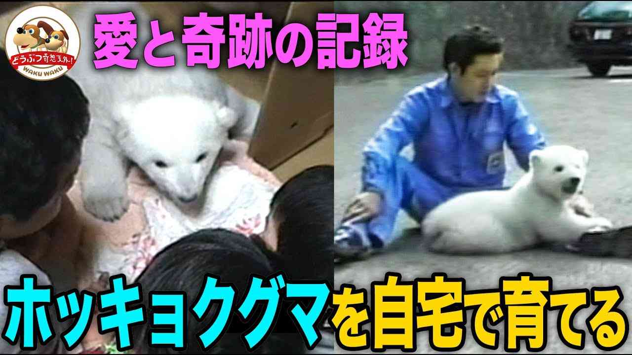 【YouTube】平和なチャンネルが好き