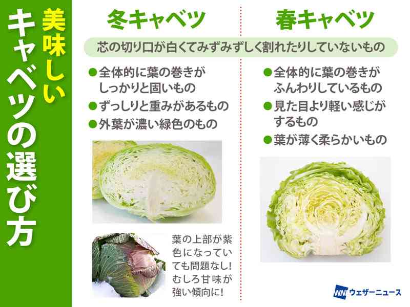 お野菜、どんな感じですか？