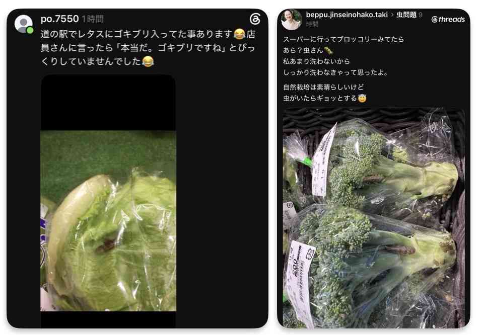トラウマで食べれなくなったもの