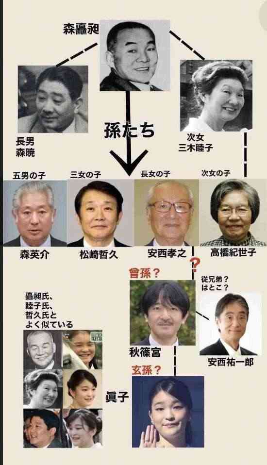 共産、皇室典範改正は「国民意見とかけ離れている」　女性天皇の議論を要求