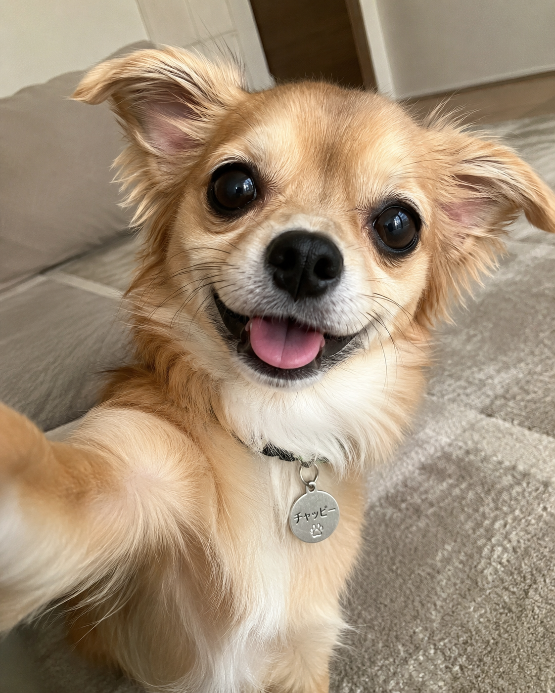 【chatGPT】みんなのチャッピーの自撮り見せて