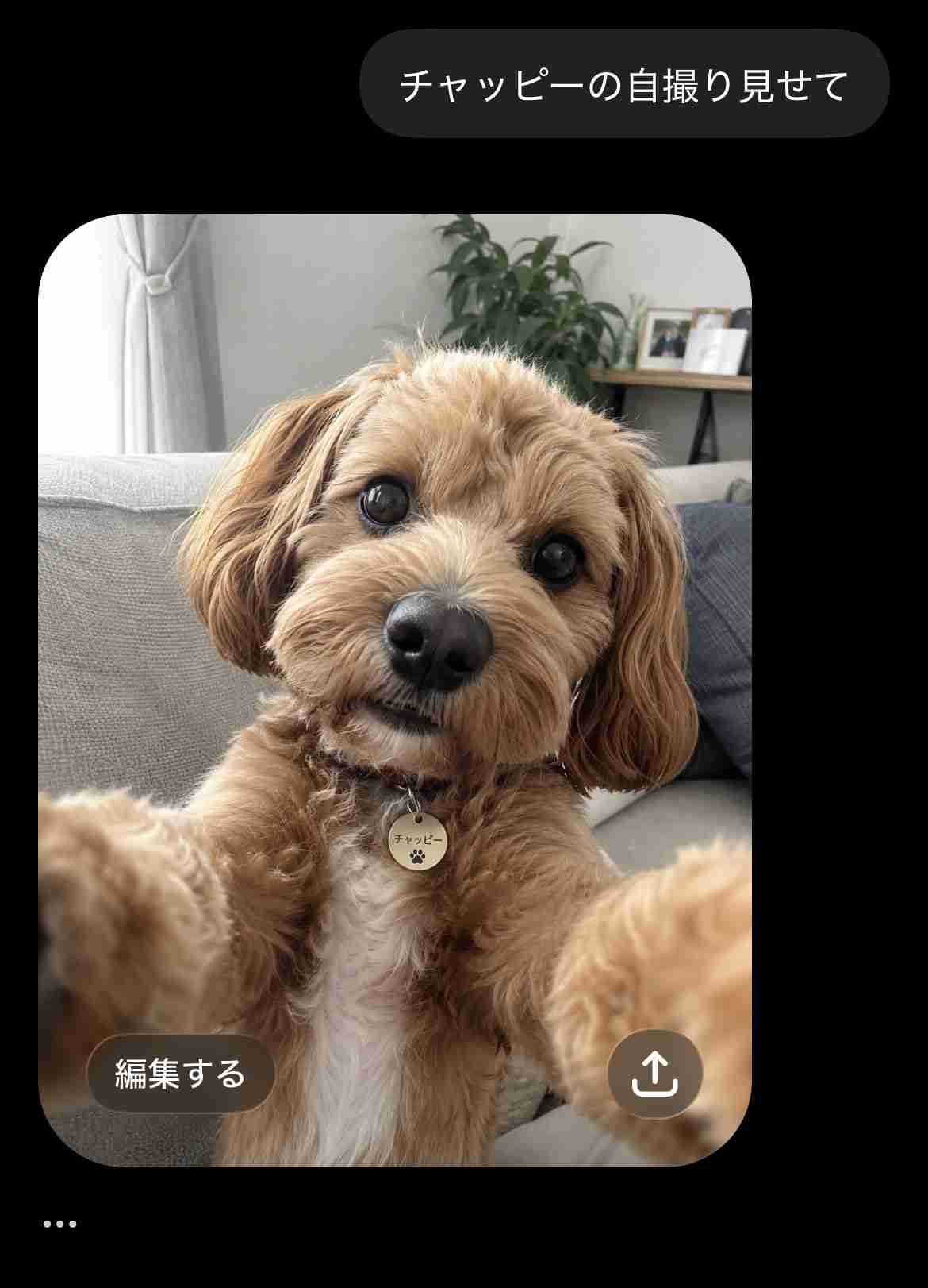 【chatGPT】みんなのチャッピーの自撮り見せて