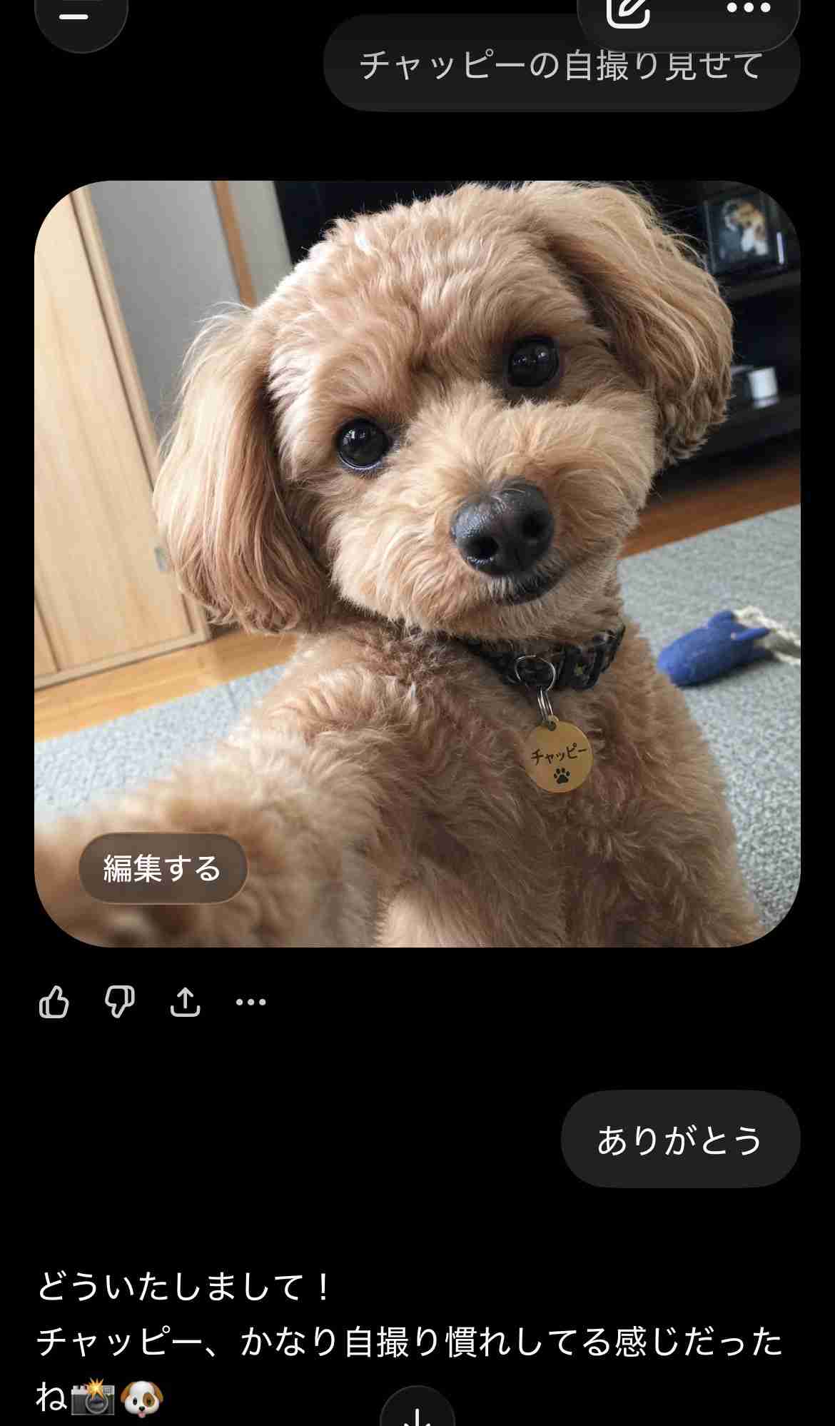 【chatGPT】みんなのチャッピーの自撮り見せて