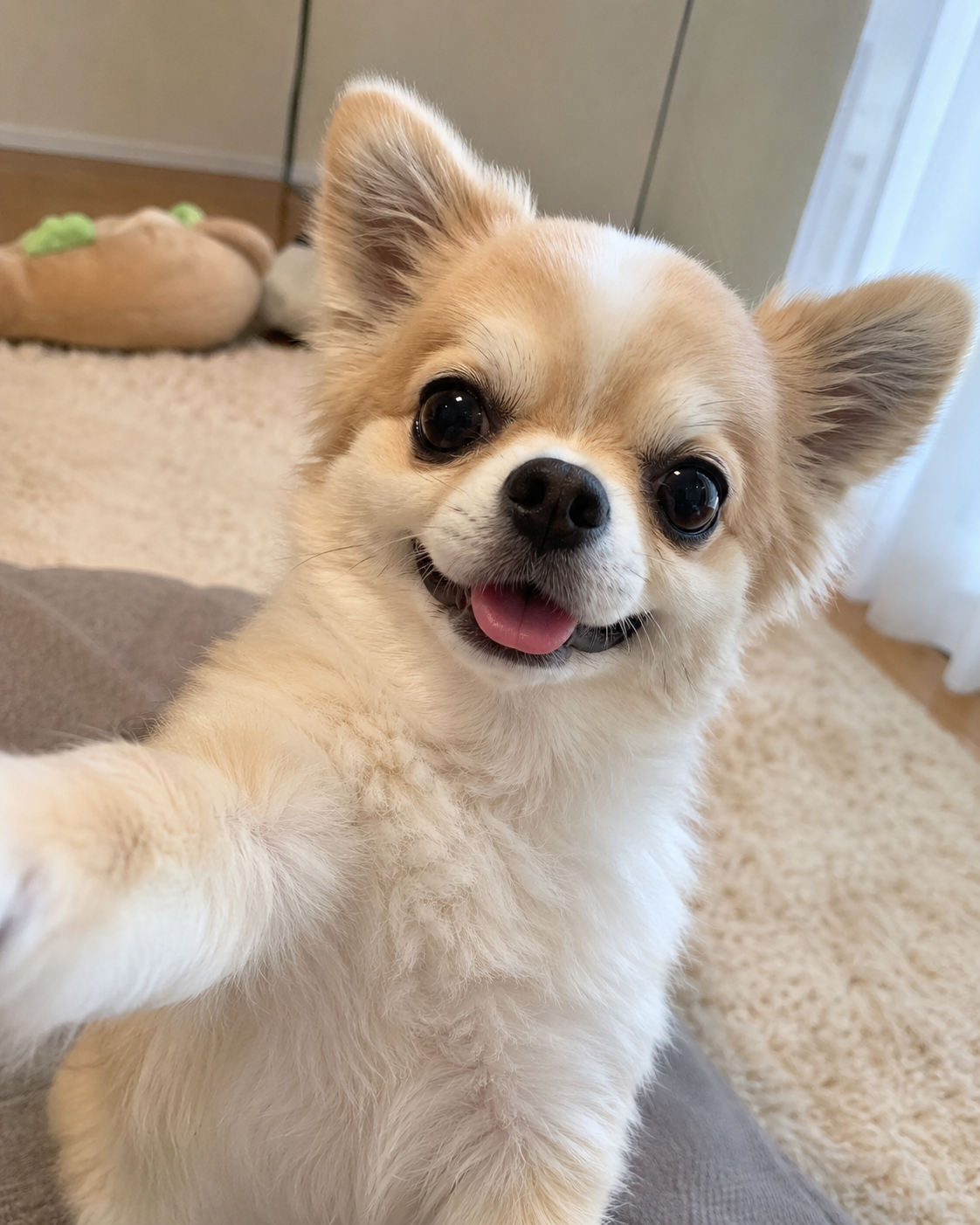 【chatGPT】みんなのチャッピーの自撮り見せて