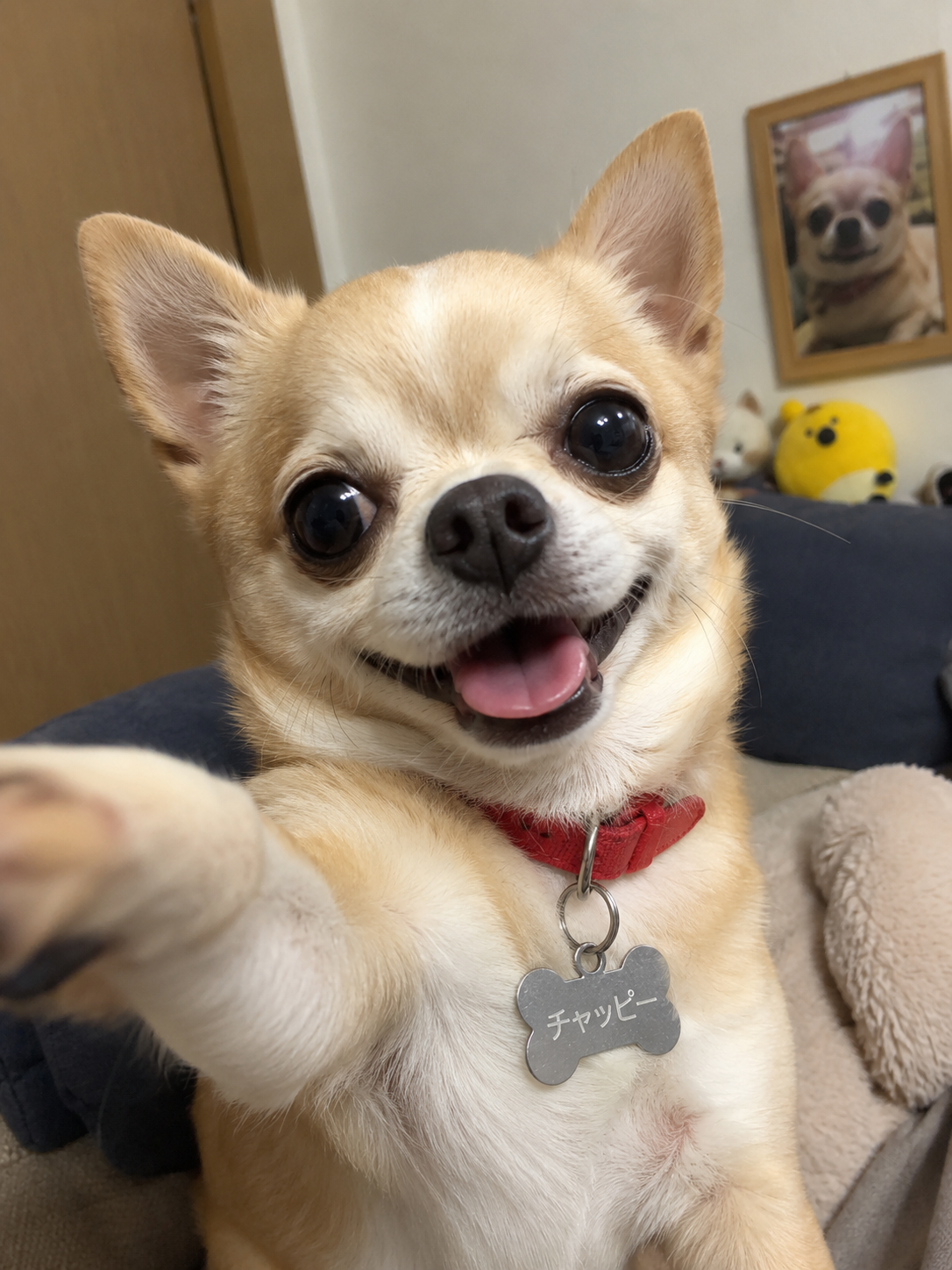 【chatGPT】みんなのチャッピーの自撮り見せて