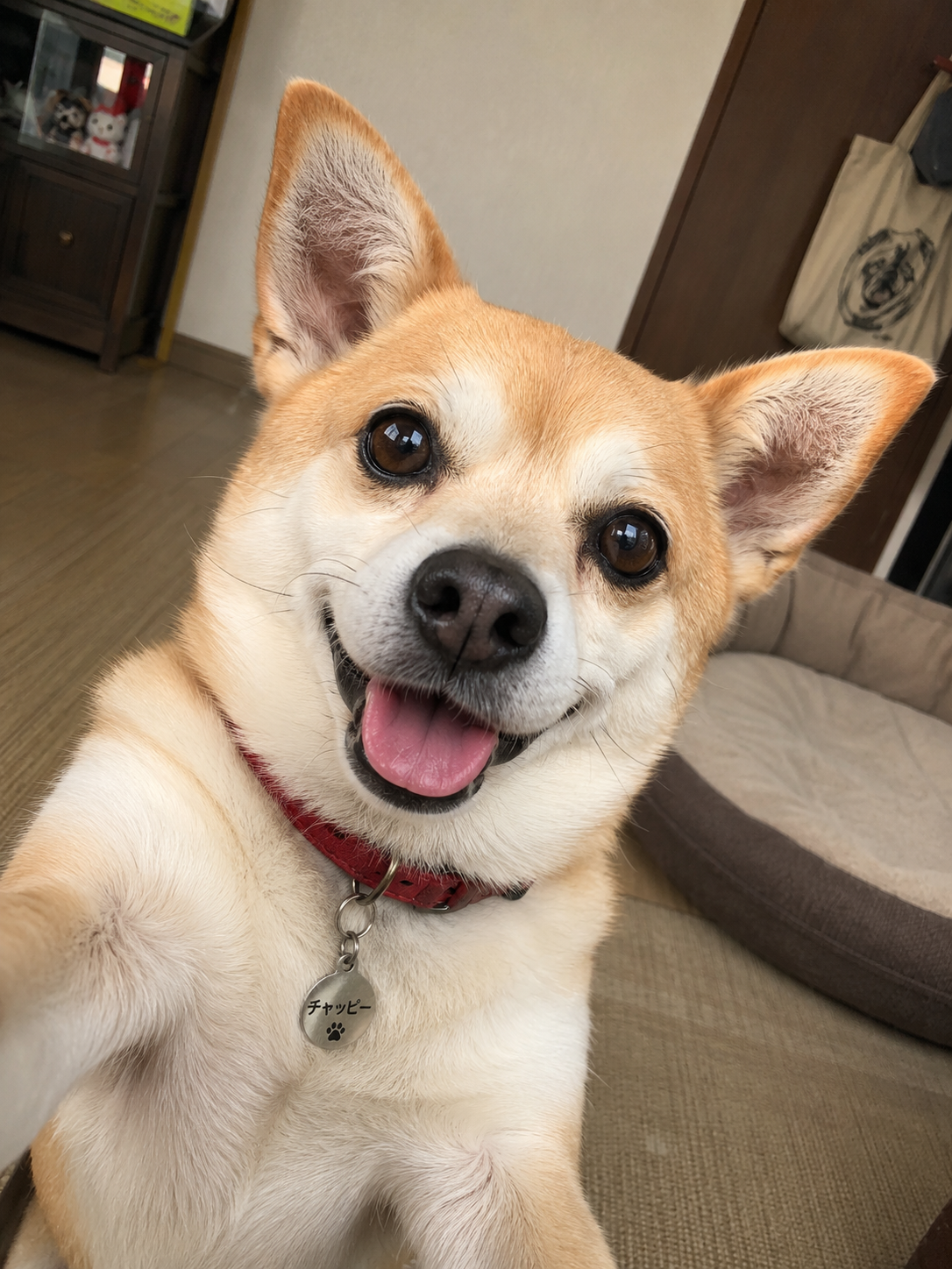 【chatGPT】みんなのチャッピーの自撮り見せて