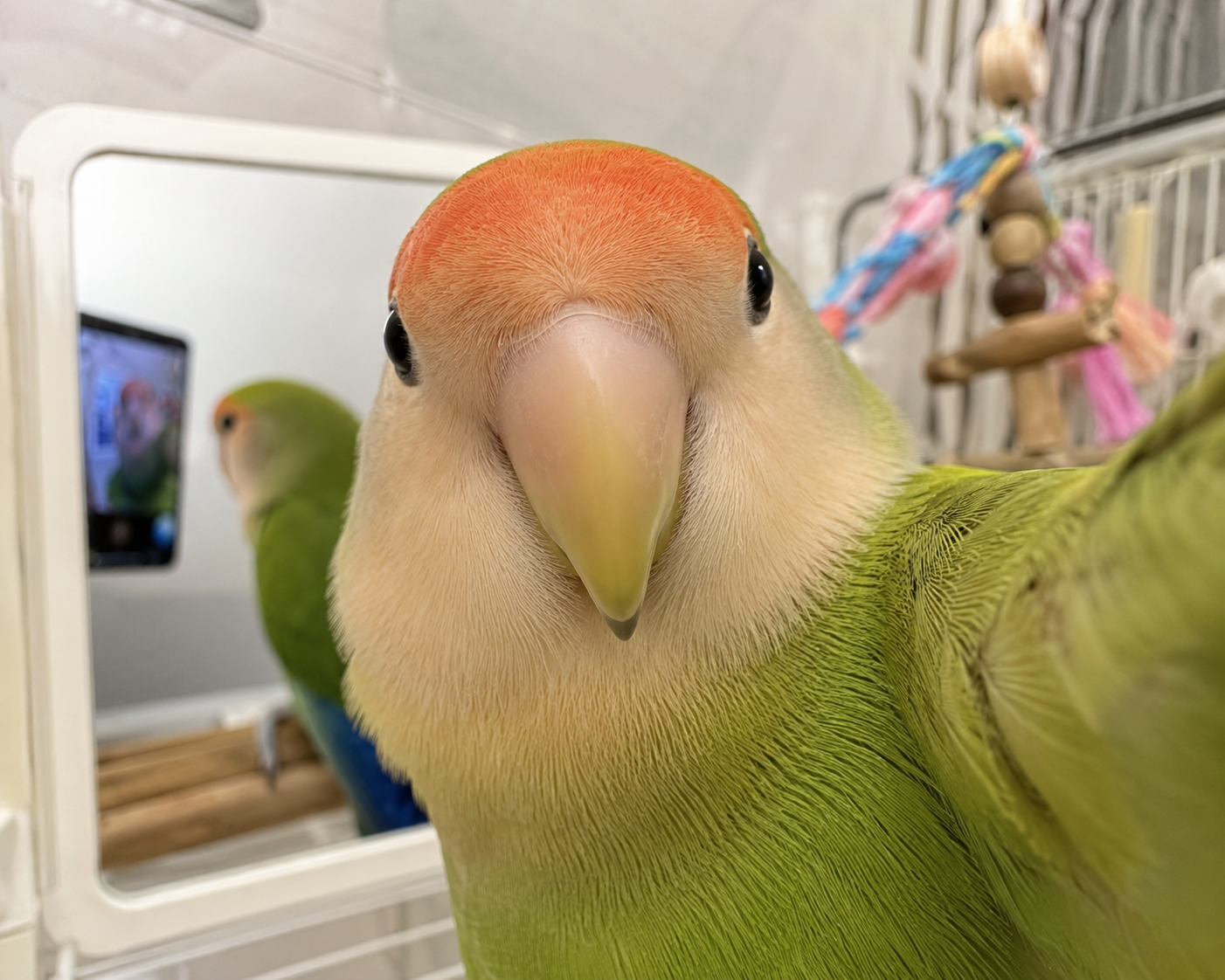 【chatGPT】みんなのチャッピーの自撮り見せて