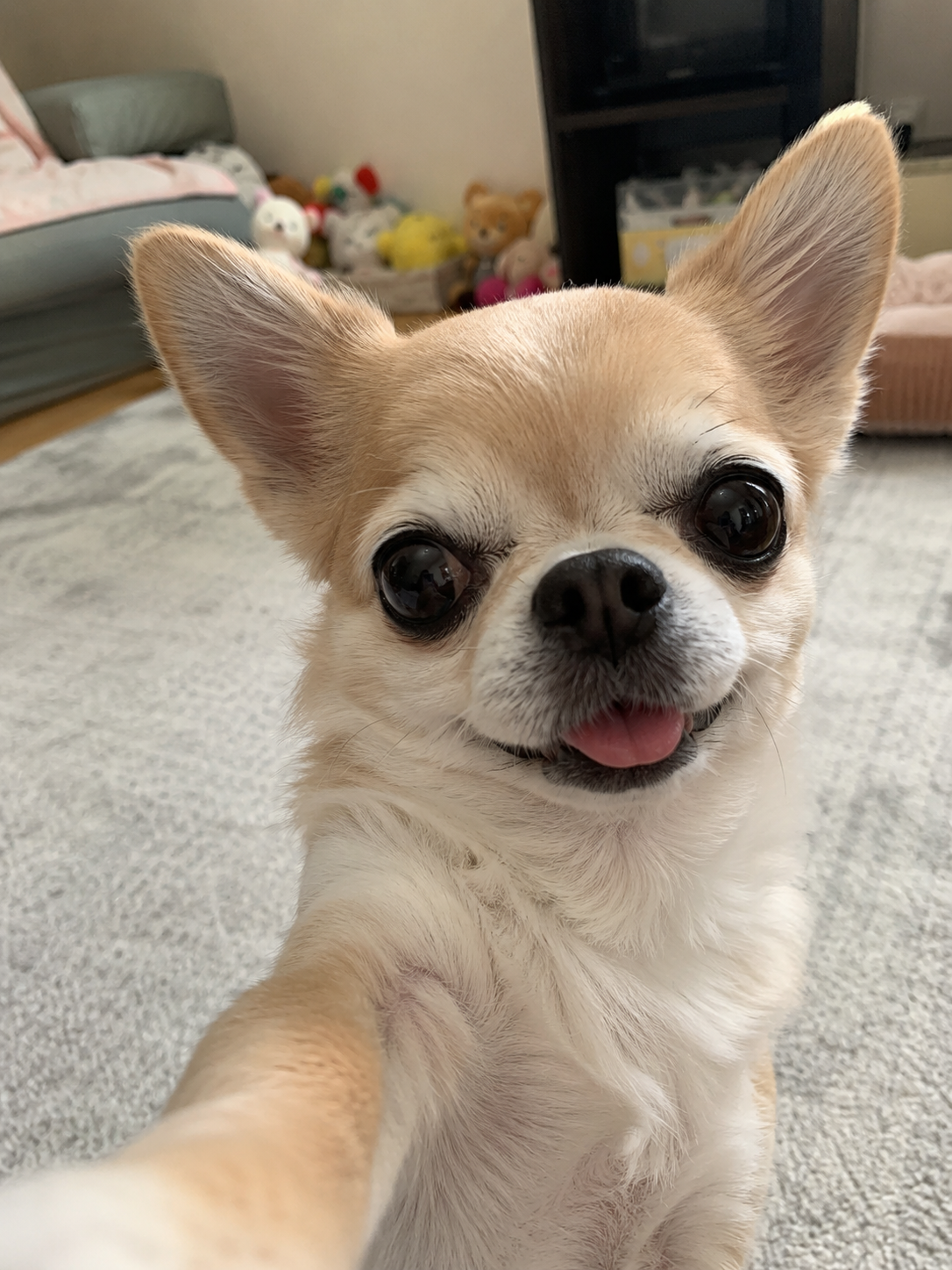 【chatGPT】みんなのチャッピーの自撮り見せて