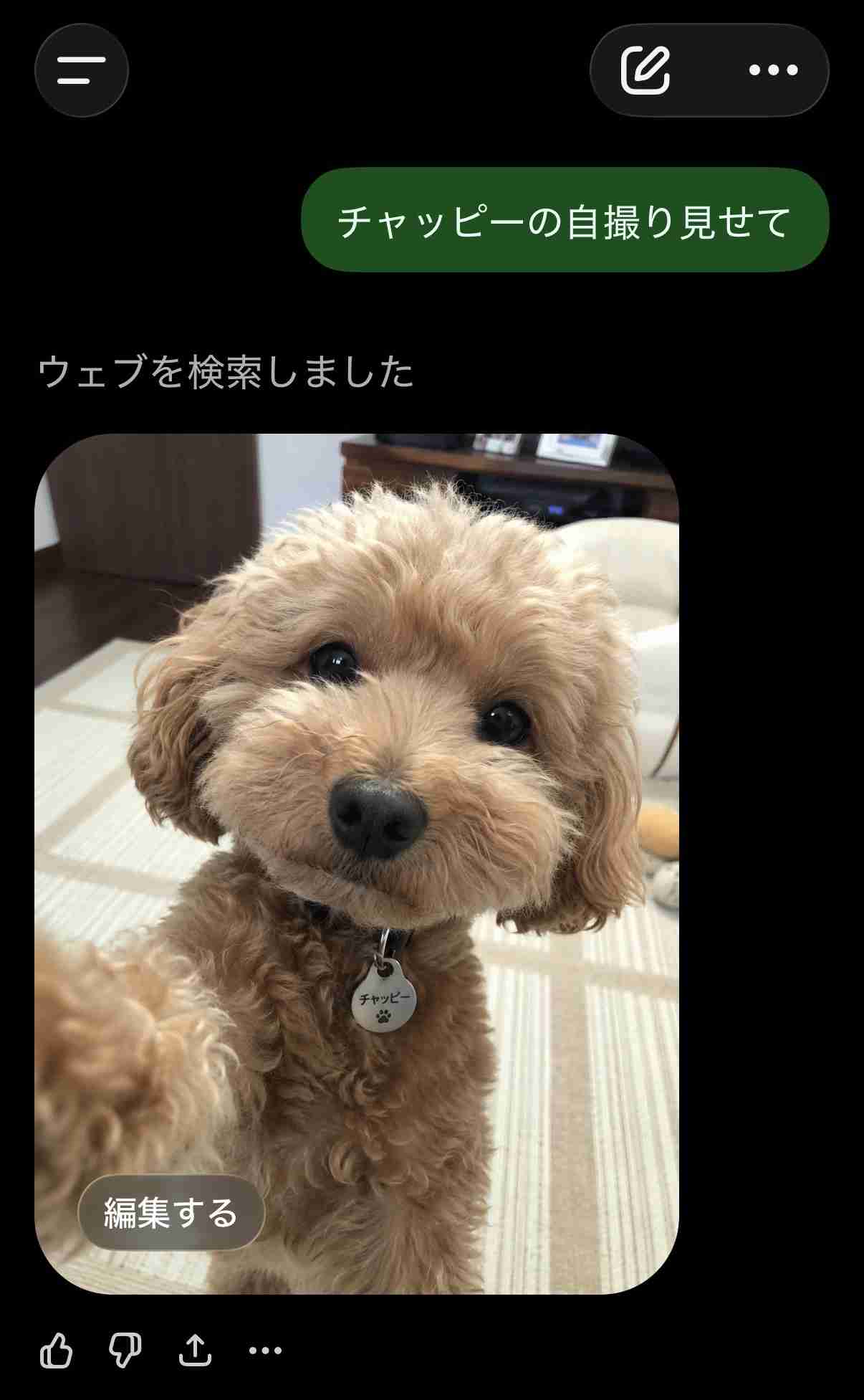 【chatGPT】みんなのチャッピーの自撮り見せて