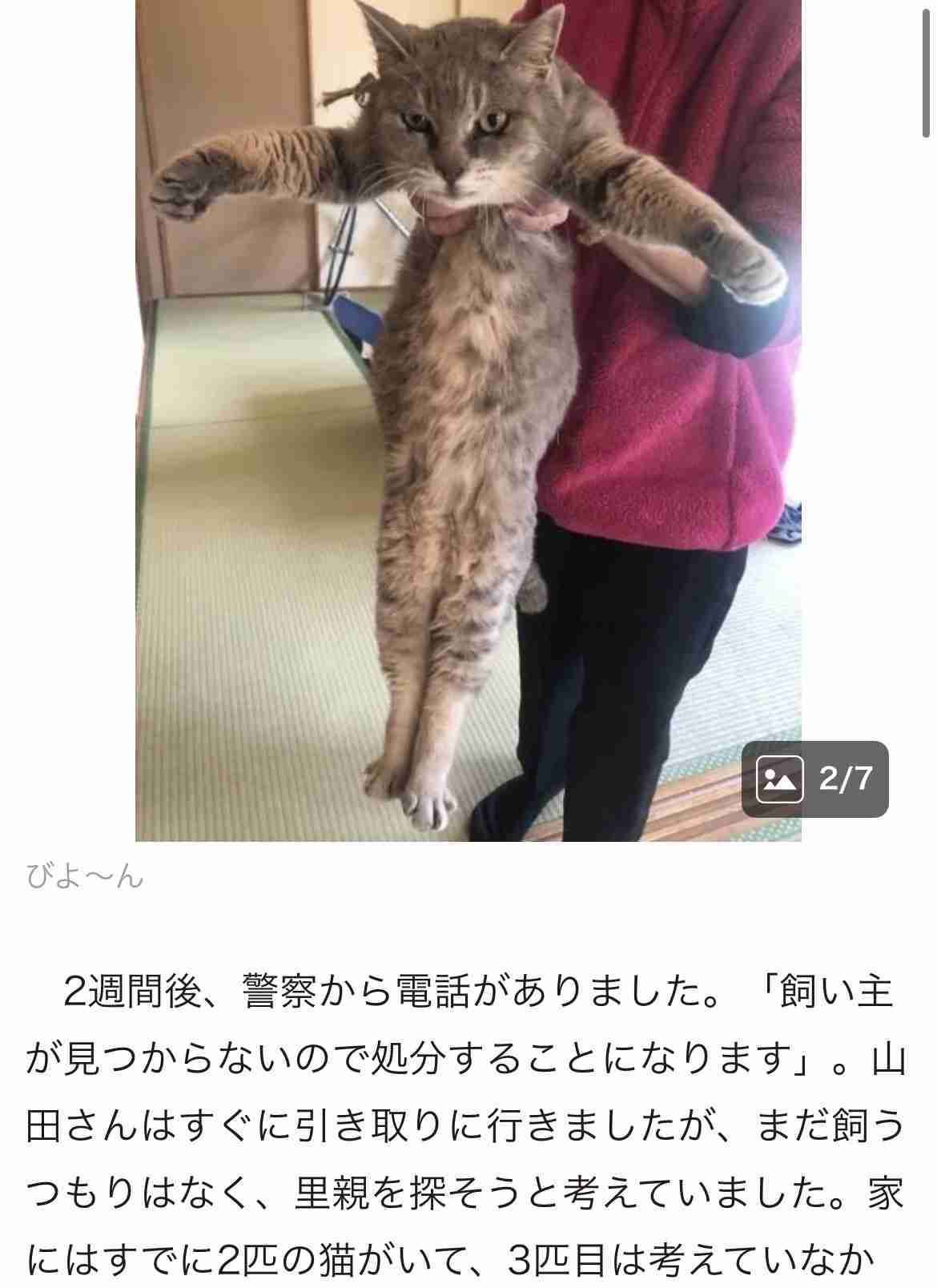 朝までガルチャンしていたい人の深夜雑談トピpart21