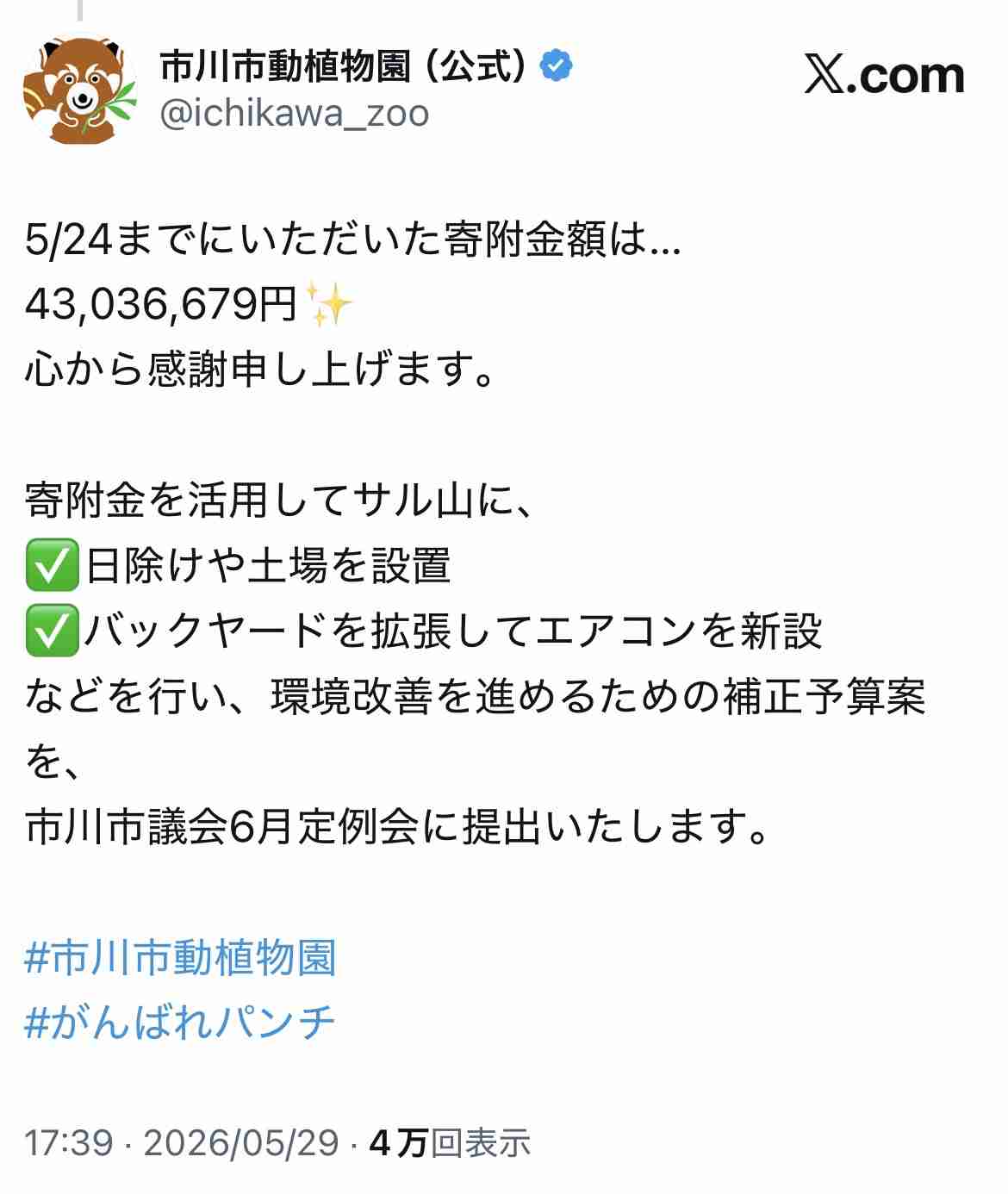 パンチくん