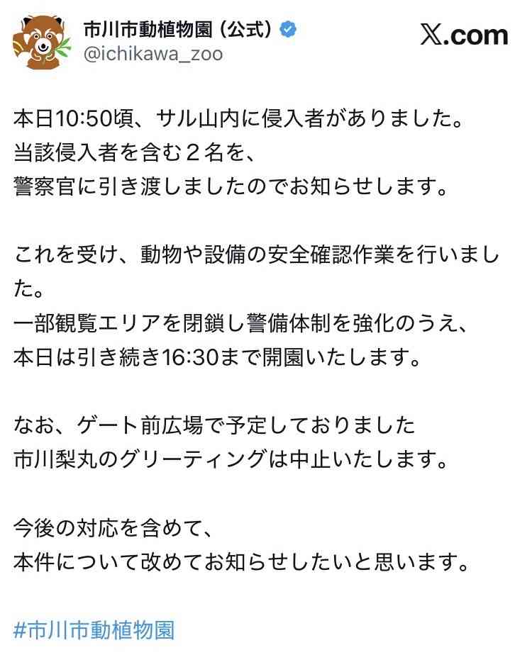 パンチくん