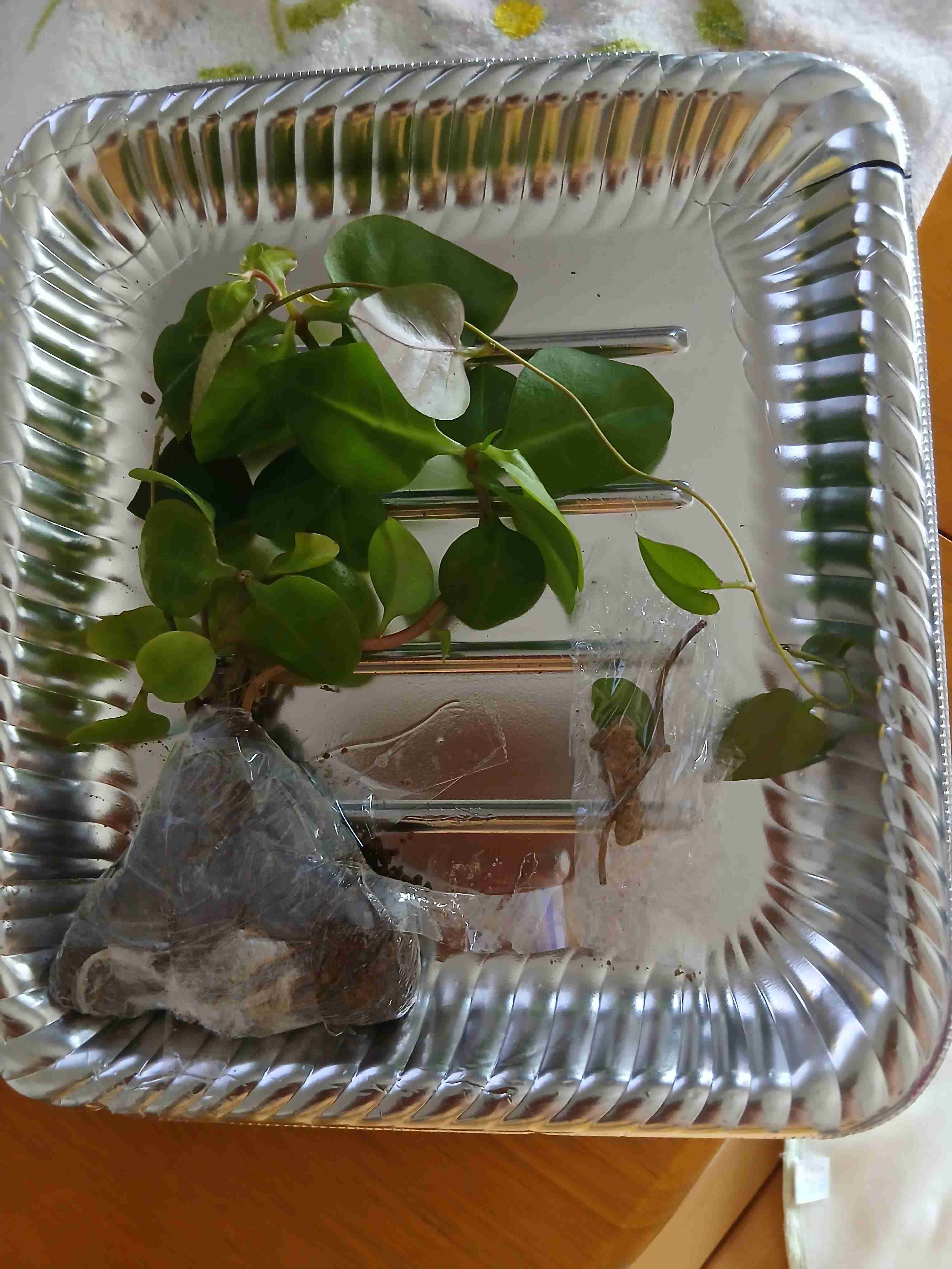 理解されにくいけど好きな食べ物