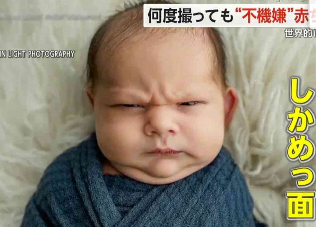 機嫌悪そうに見える画像を貼っていくトピ