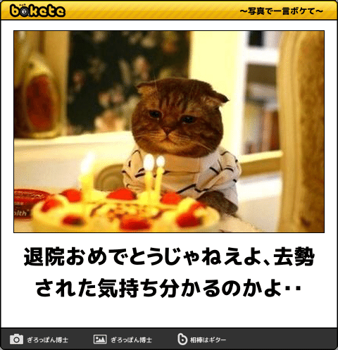 機嫌悪そうに見える画像を貼っていくトピ