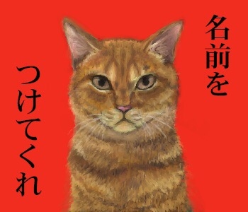 機嫌悪そうに見える画像を貼っていくトピ