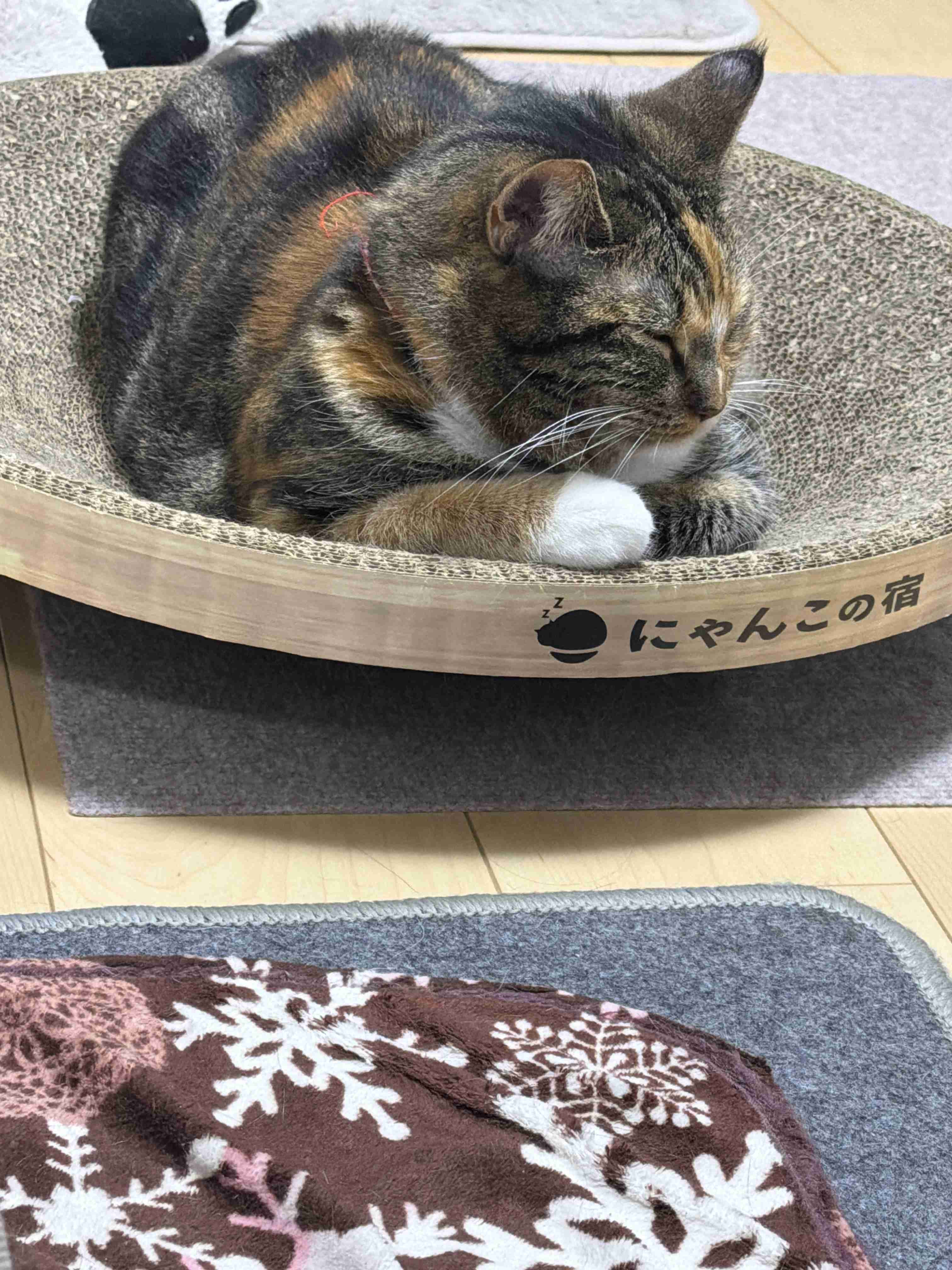 機嫌悪そうに見える画像を貼っていくトピ