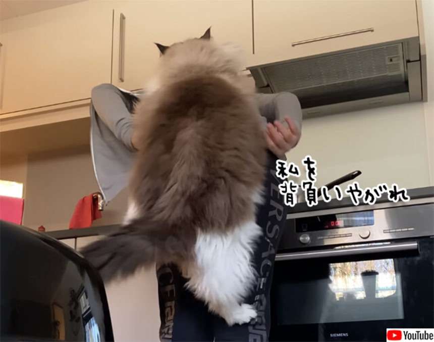 【ネタ可】可愛いリュックが見たい！