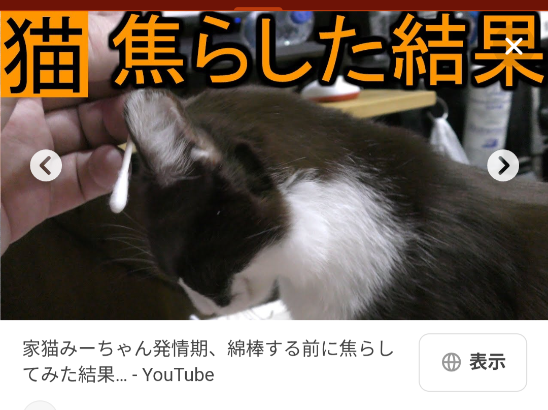 みけねこ、ASMR動画が「性的なコンテンツ」とされ削除される　スパチャ収益も確認できず「没収ってこと？」