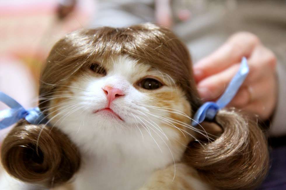 ヘアカラーを語る画像