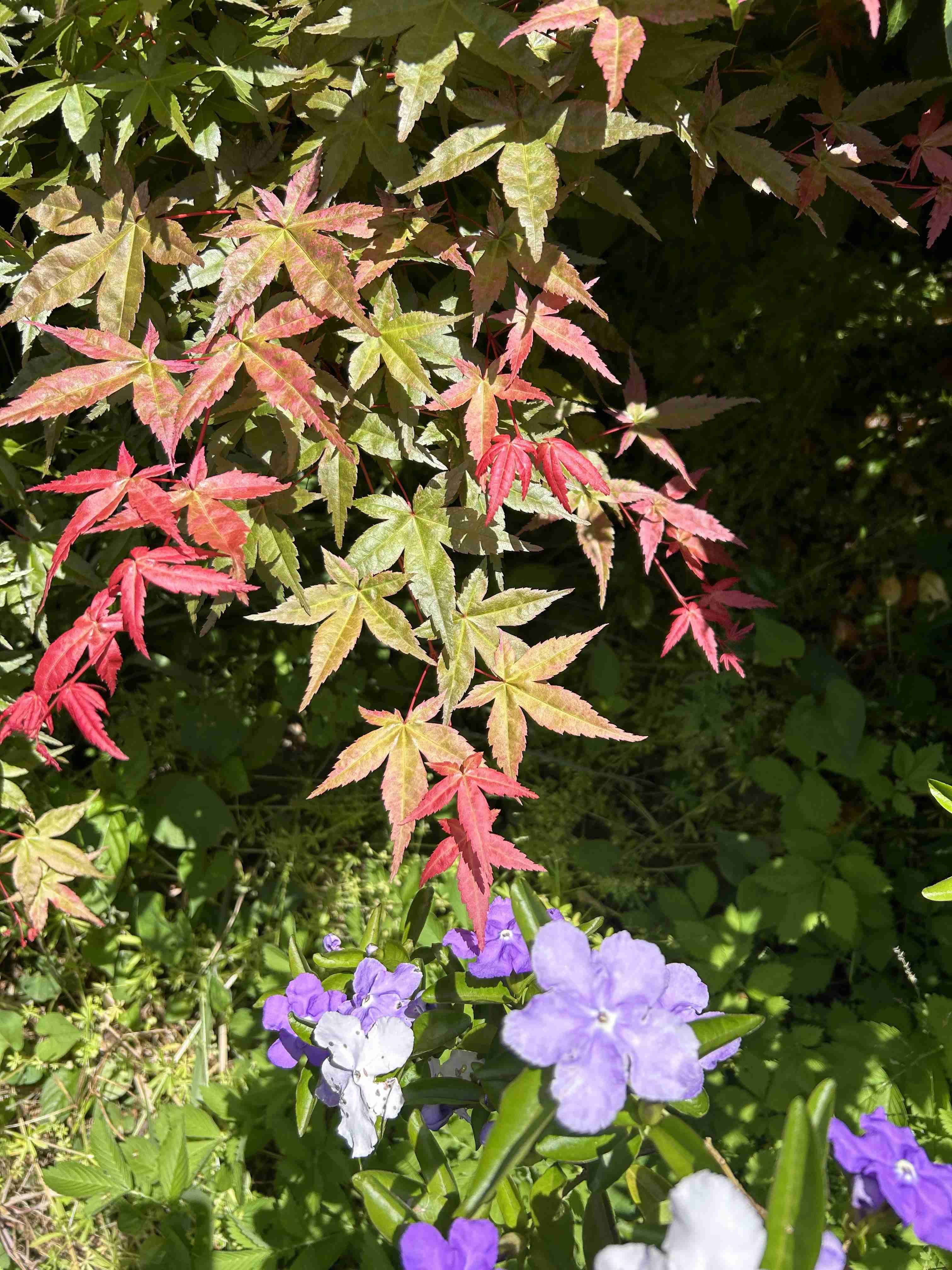 5月は毎年やたらと元気。