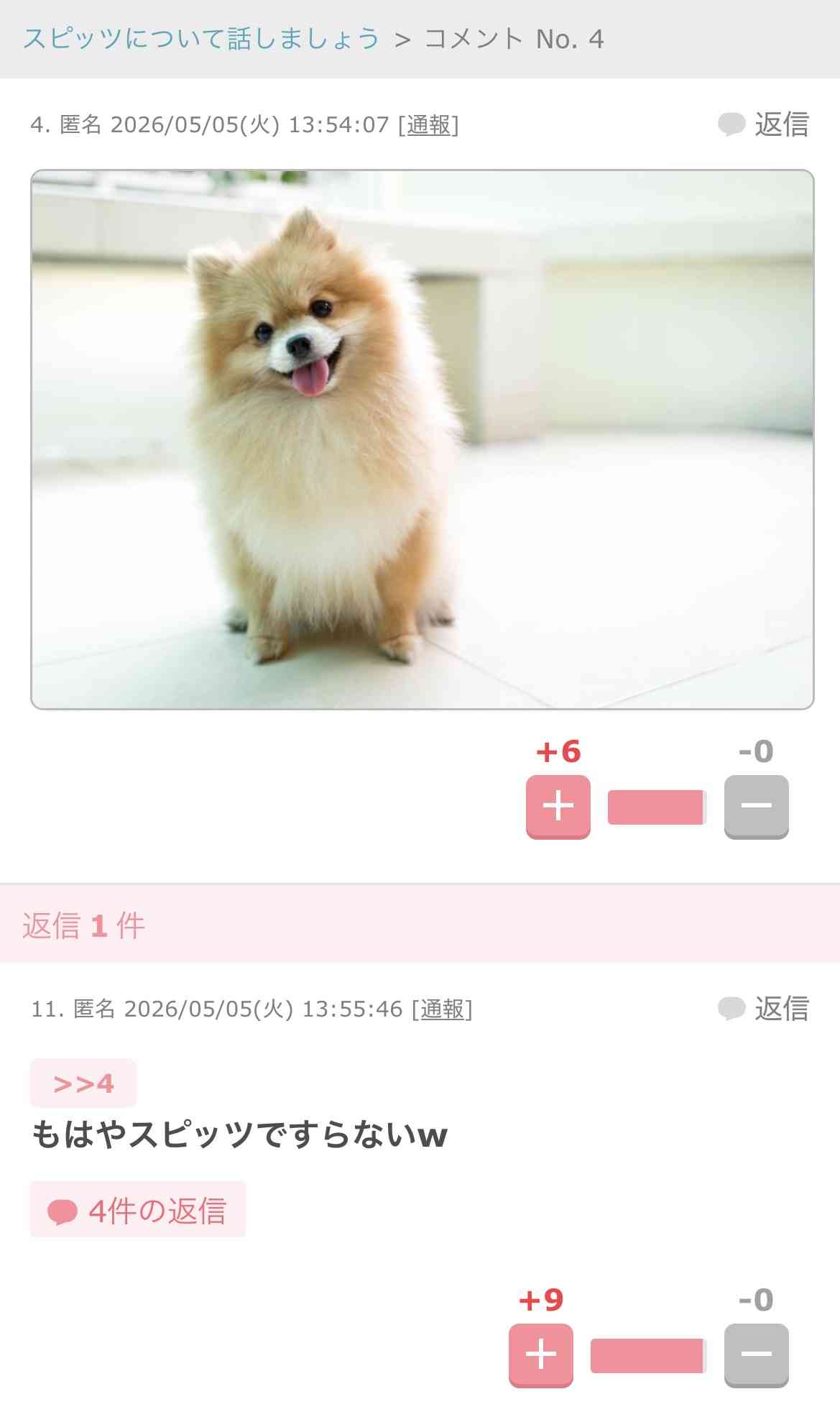 間違えたんだなと思った画像