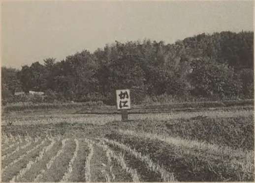 多分間違えたんだなと思った画像を貼るトピ