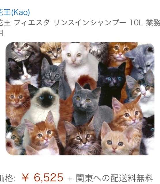 多分間違えたんだなと思った画像を貼るトピ