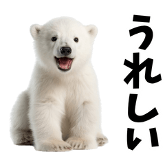 動物の赤ちゃんは何故あんなに可愛いのでしょう🥰