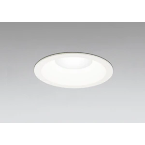 家の電灯のLED化は済んでいますか?