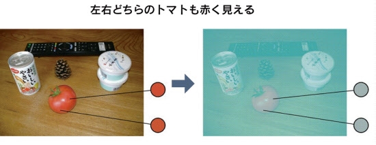目の錯覚の画像を貼るトピック!Part6