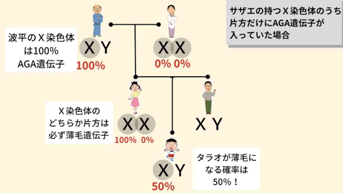 AGA発症には「母方の祖父」の薄毛が影響大　父親がフサフサでも油断できない…「母方の曽祖父」も薄毛でさらに高確率に