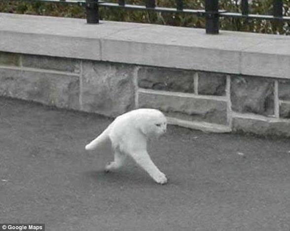 【画像】色んな写り込み Part3