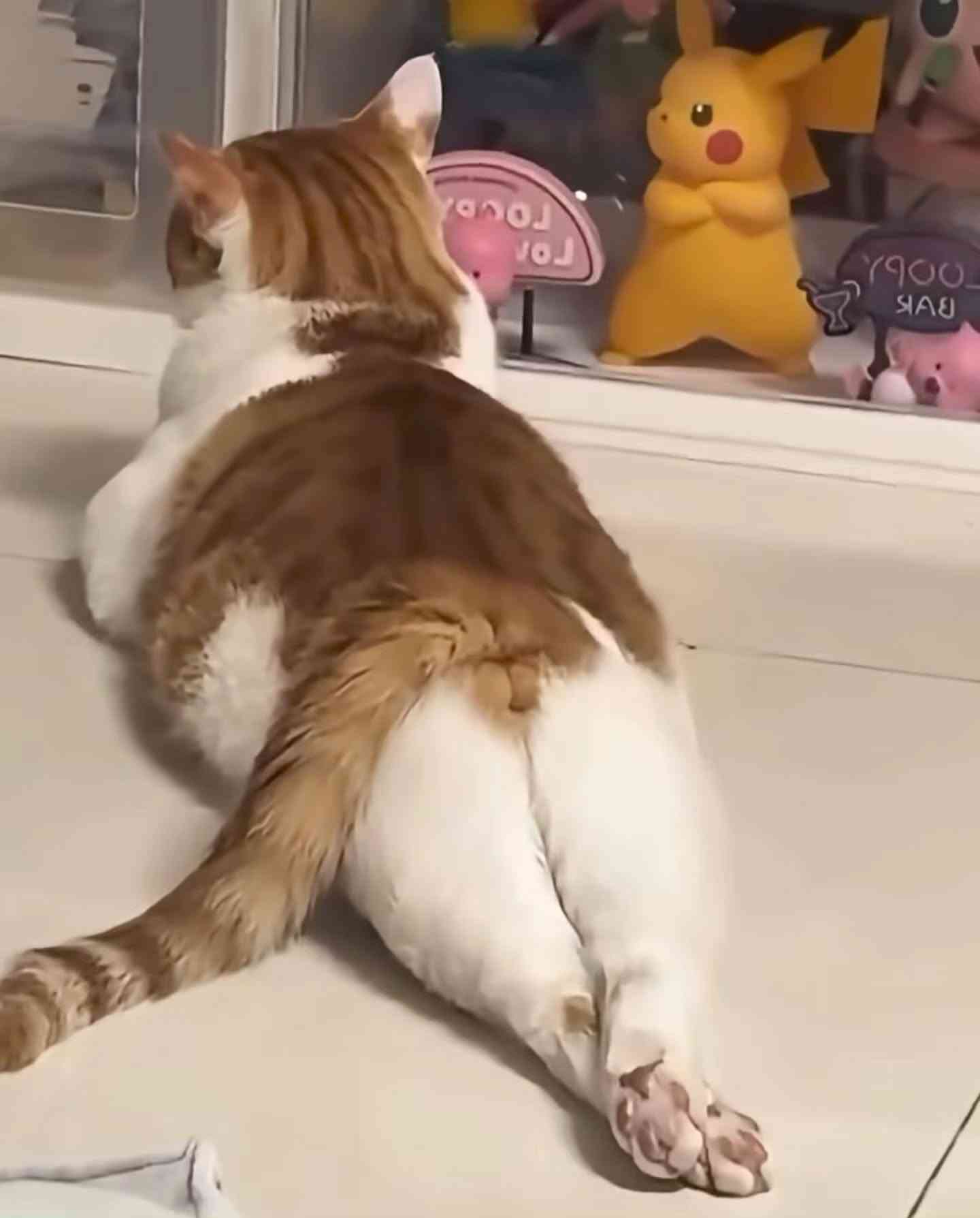 入院あるある