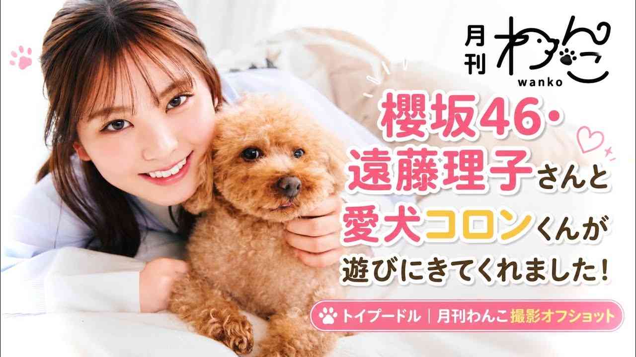 櫻坂46を語りたい Part 31