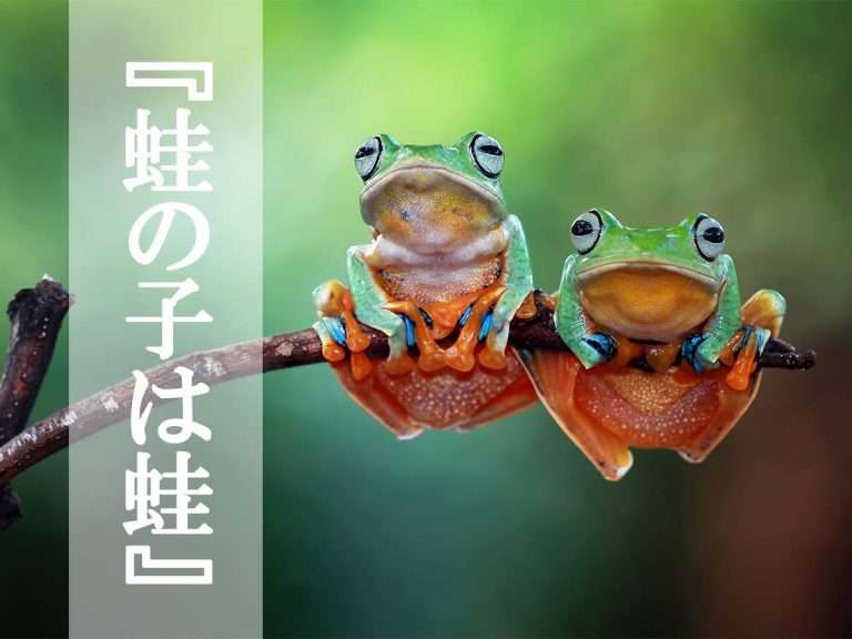 親の嫌な部分って結局子供にも似てきてしまうと思いますか？