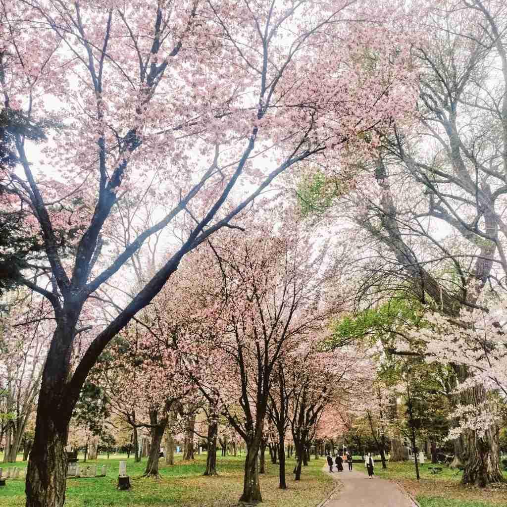 ガル民が撮影した日本の絶景が見たい！