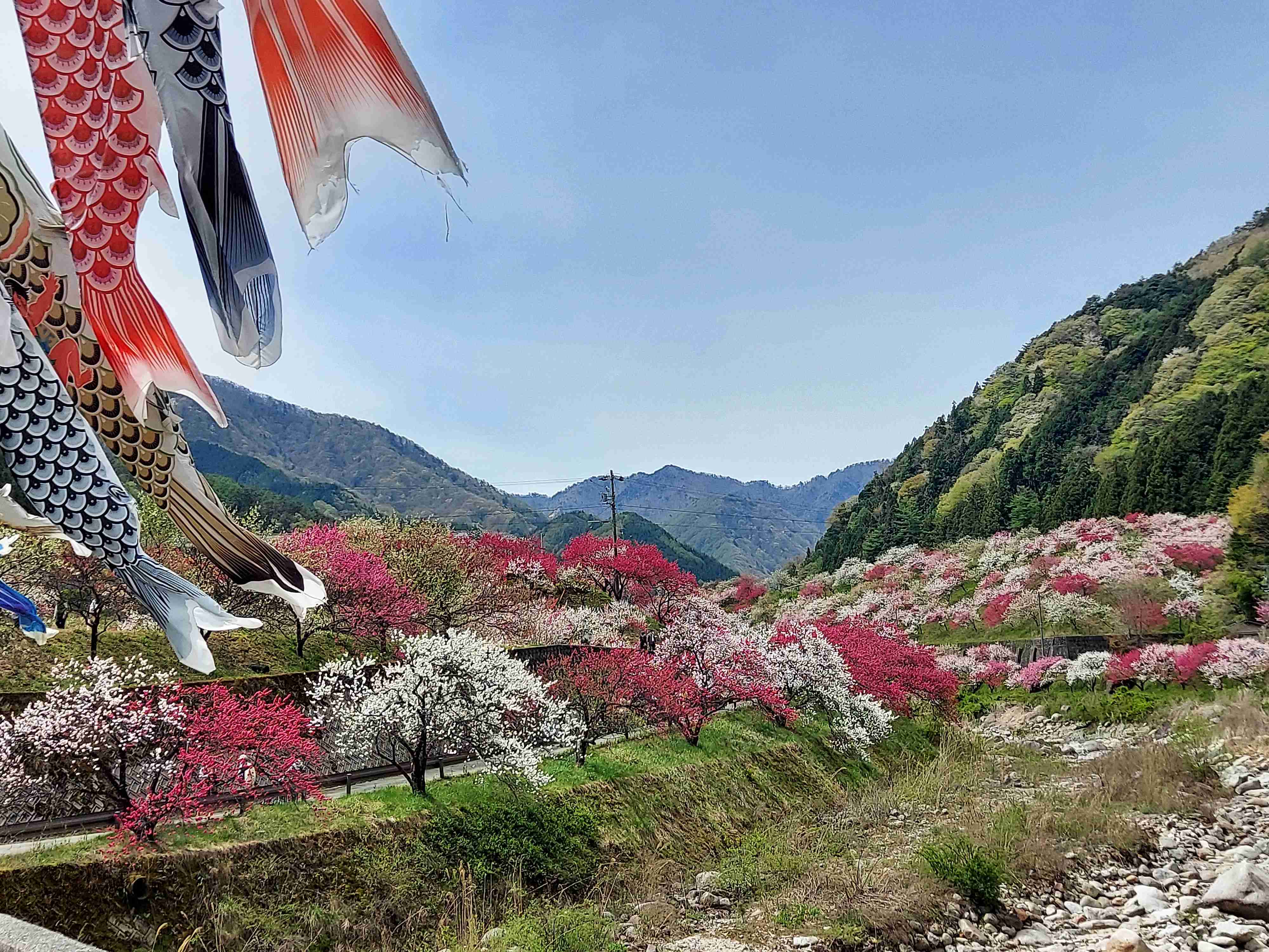 ガル民が撮影した日本の絶景が見たい！