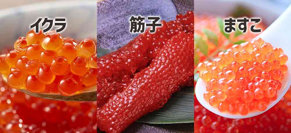 【子持ち】離婚後の働き方