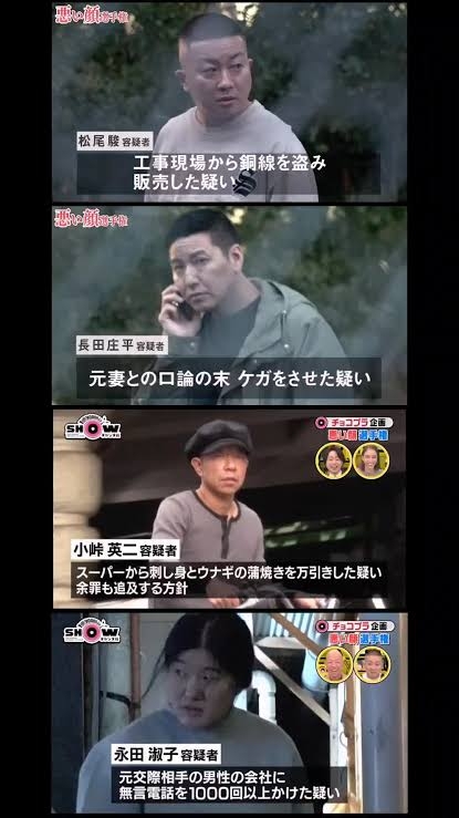 天然記念物のカメ・トカゲを沖縄で捕獲し郵送か　茨城のペットショップ経営者と店長を逮捕　「中国人に売った」と話す　警視庁